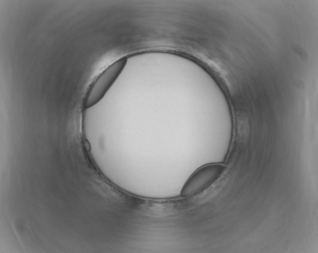 X0000115421365200912151554