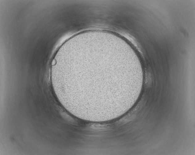 X0000115421366200912151554