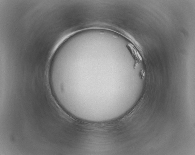 X0000115421368200912151554