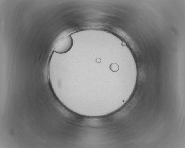 X0000115421370200912151554