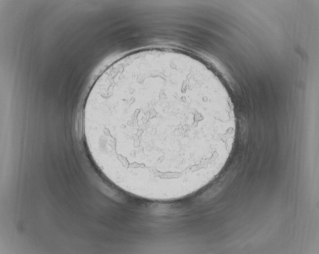 X0000115421371200912151554