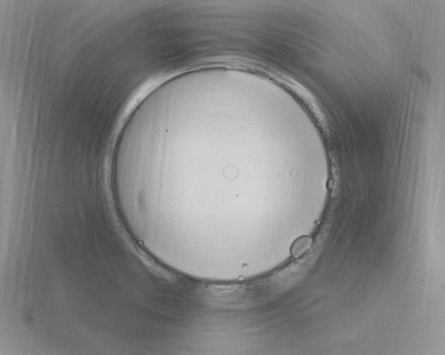 X0000115421373200912151554