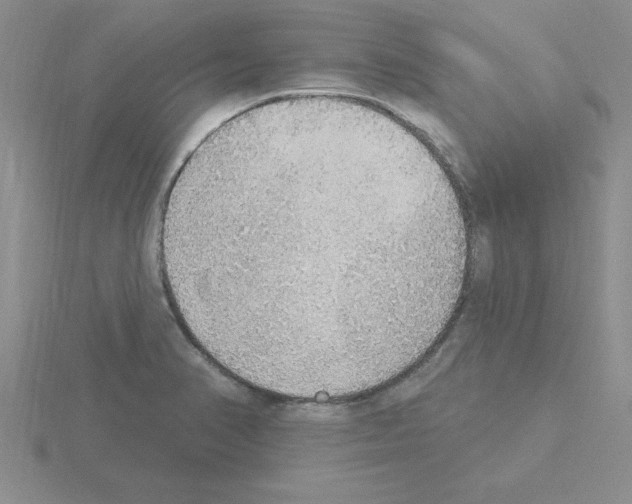 X0000115421374200912151554