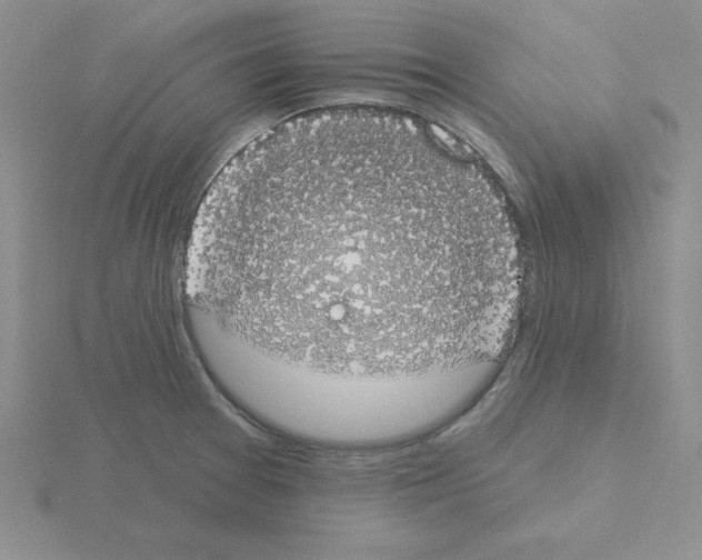 X0000115421377200912151554