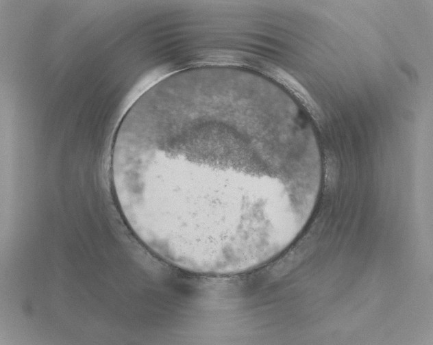 X0000115421378200912151554