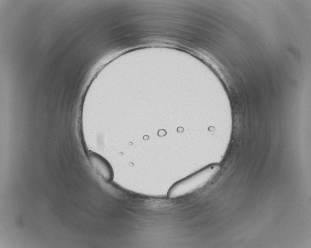 X0000115421379200912151554