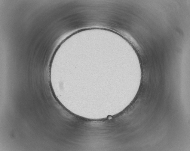 X0000115421380200912151554