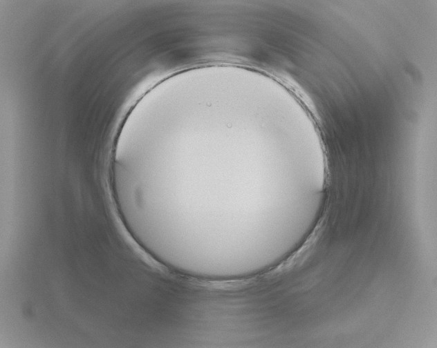 X0000115421381200912151554