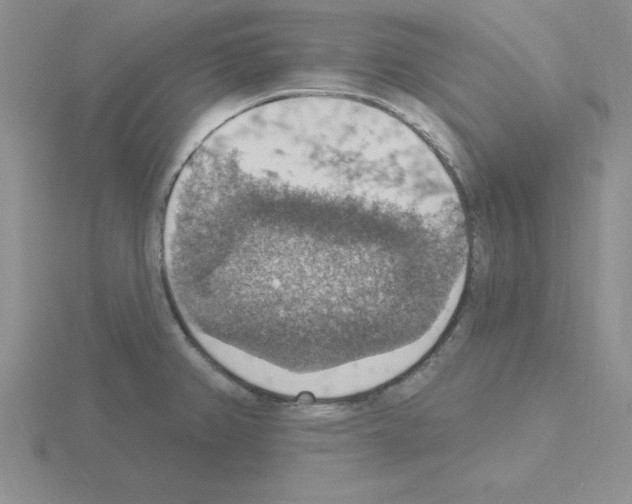 X0000115421382200912151554