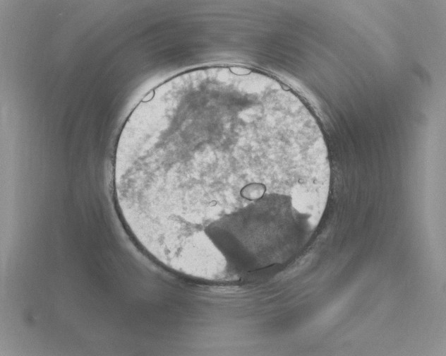 X0000115421383200912151554