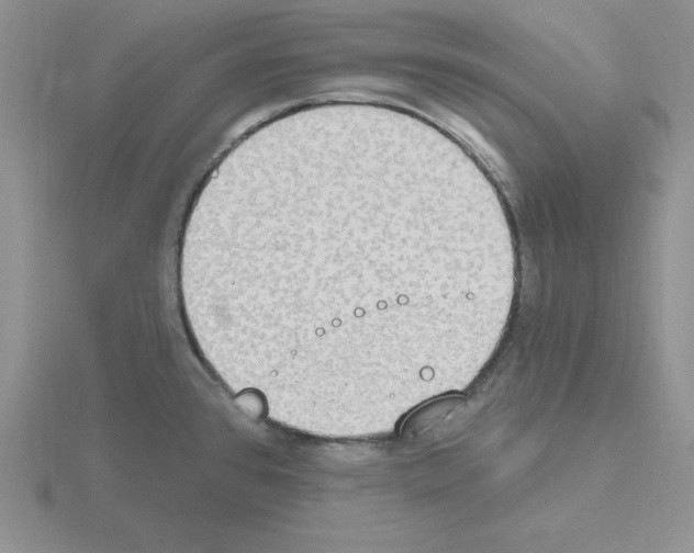 X0000115421384200912151554