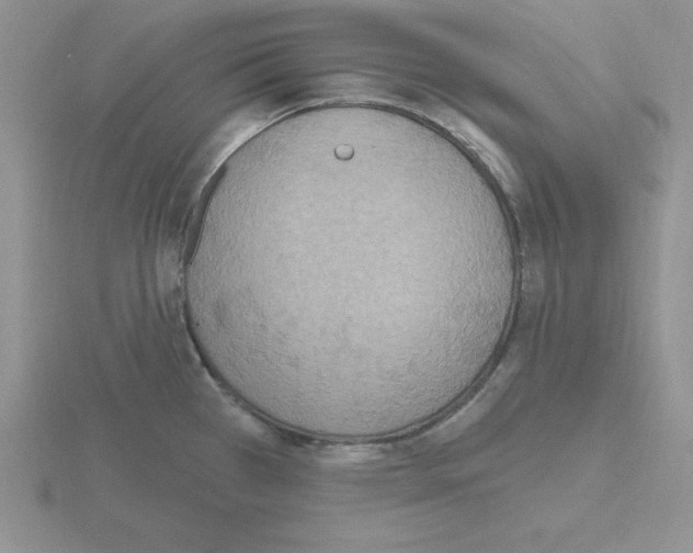 X0000115421385200912151554