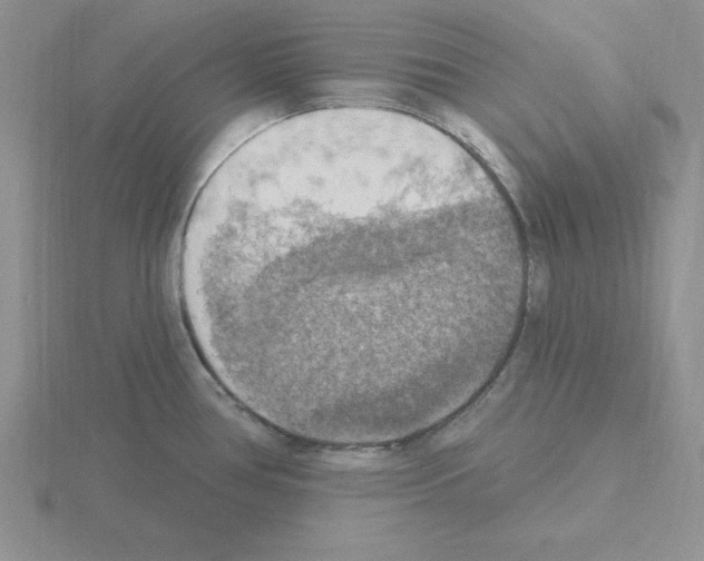 X0000115421386200912151554