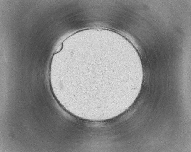 X0000115421387200912151554