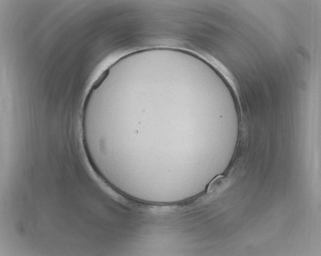 X0000115421389200912151554