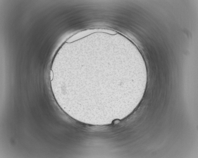 X0000115421392200912151554