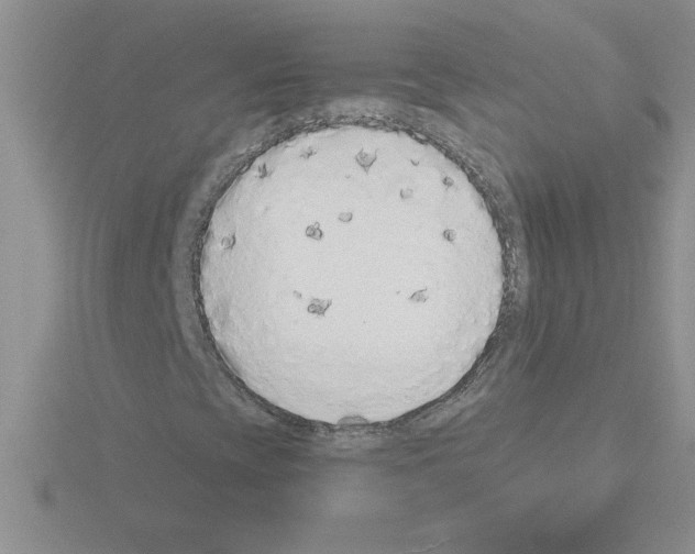 X0000115421393200912151553