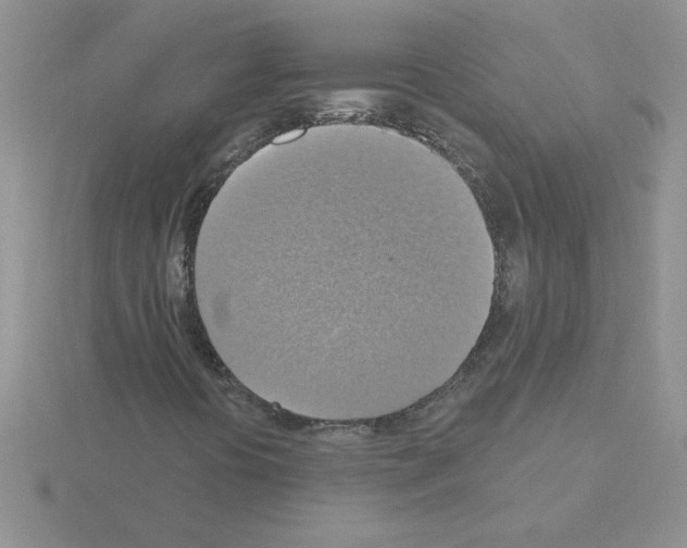 X0000115421394200912151553