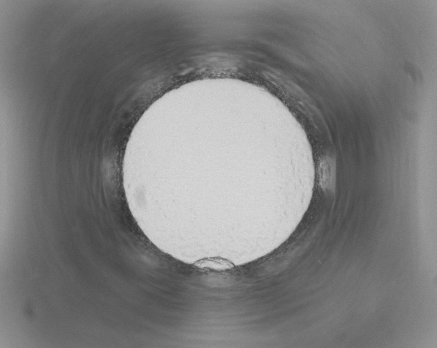 X0000115421395200912151553