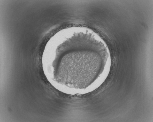 X0000115421398200912151553