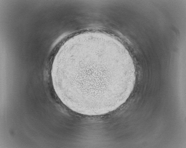 X0000115421400200912151553