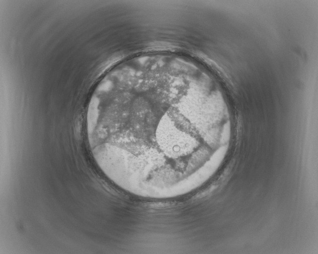 X0000115421401200912151553