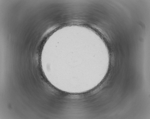 X0000115421402200912151553