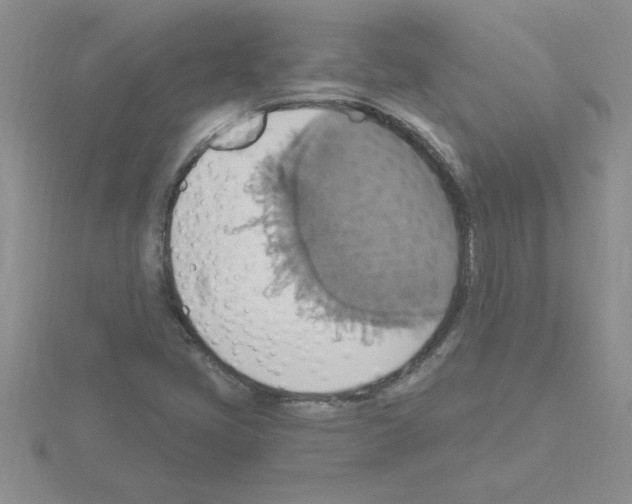 X0000115421405200912151553