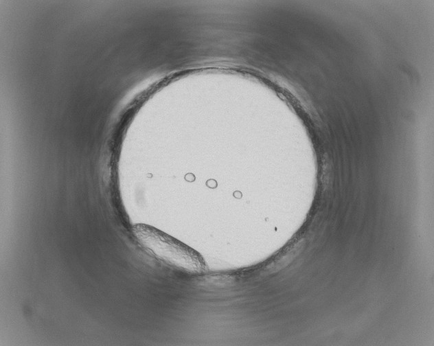 X0000115421406200912151553