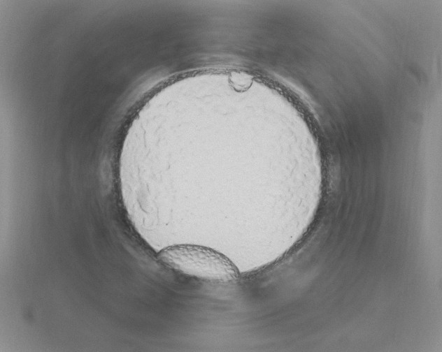 X0000115421407200912151553