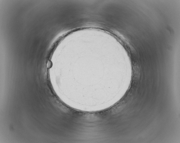 X0000115421408200912151553