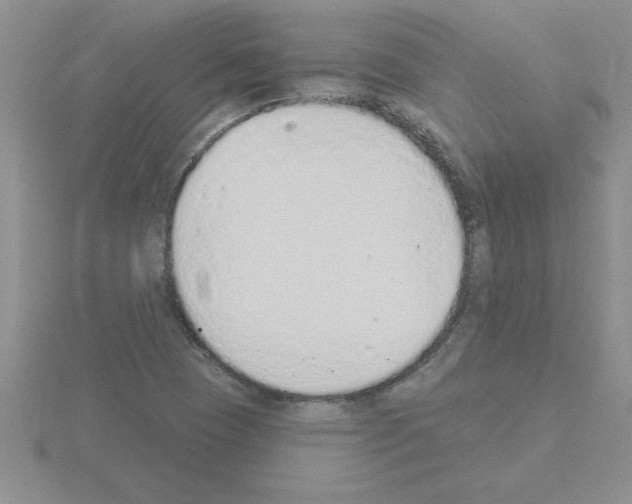 X0000115421409200912151553