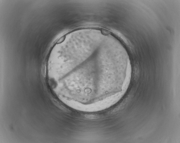 X0000115421413200912151553