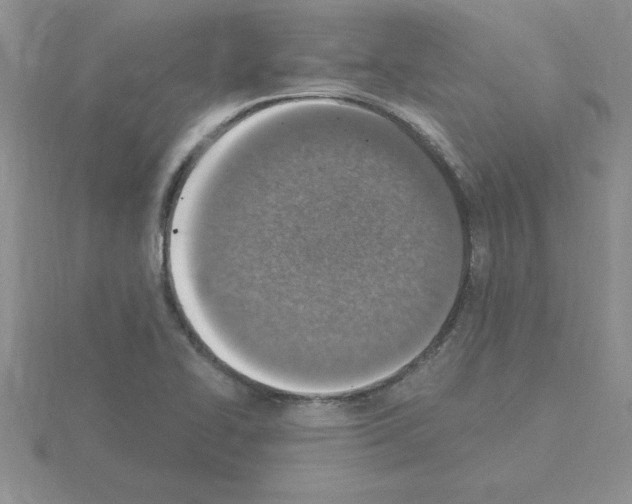 X0000115421414200912151553