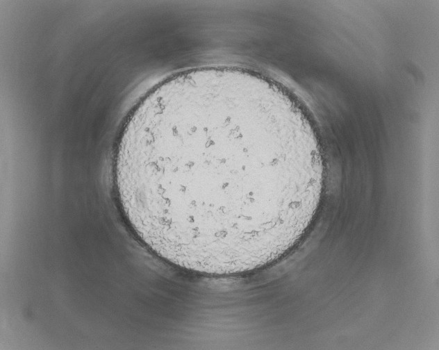 X0000115421415200912151553