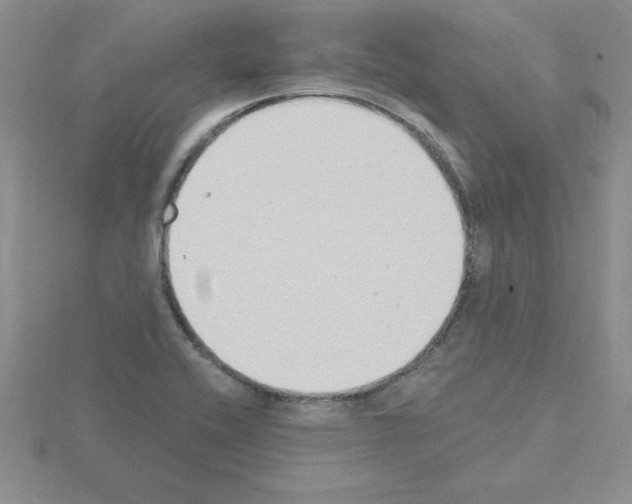 X0000115421416200912151553