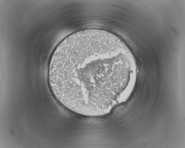 X0000115421418200912151553