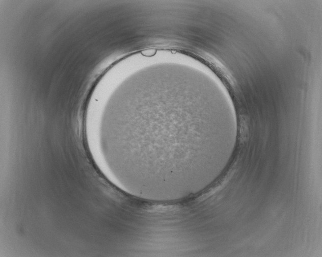 X0000115421419200912151553