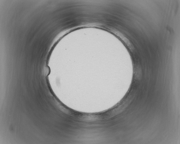 X0000115421420200912151553