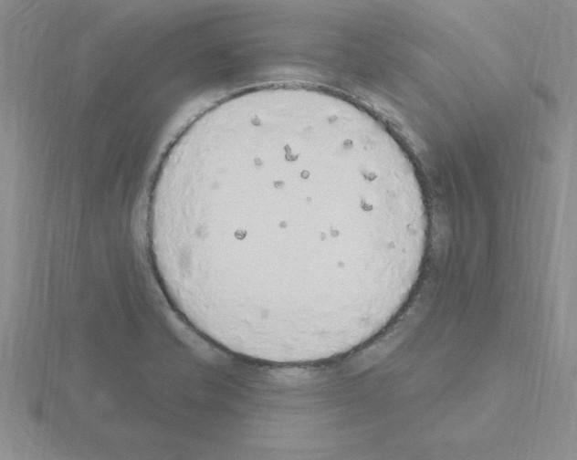 X0000115421421200912151553