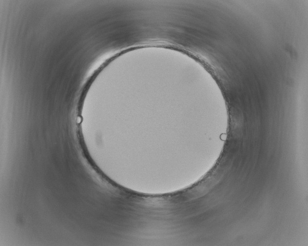 X0000115421422200912151553