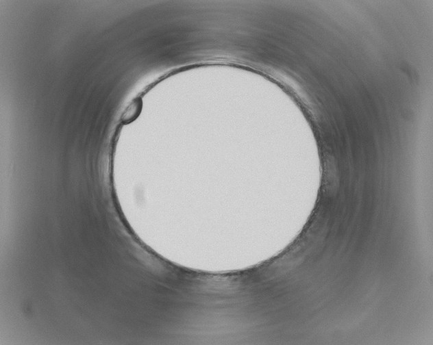 X0000115421424200912151553