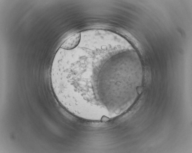 X0000115421425200912151553