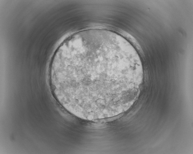 X0000115421427200912151553