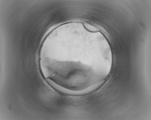 X0000115421428200912151553