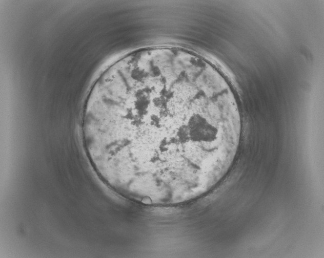 X0000115421429200912151553