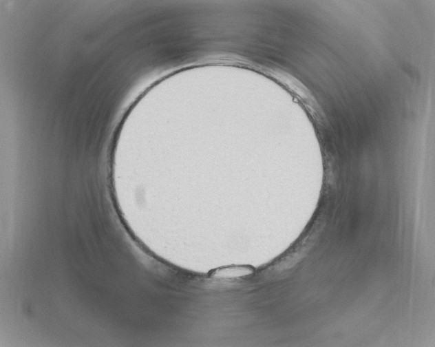 X0000115421430200912151553