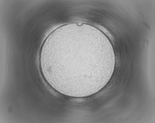 X0000115421431200912151553