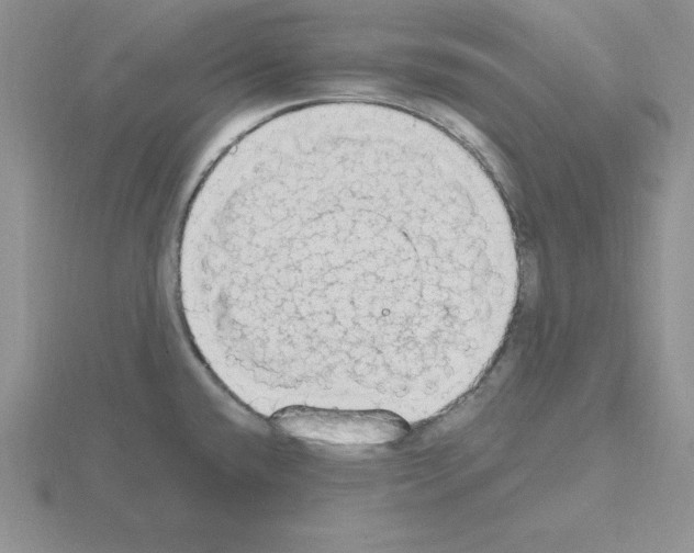 X0000115421432200912151553