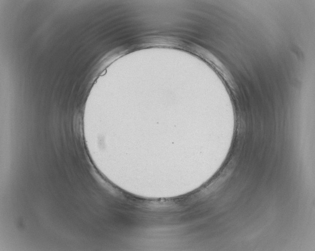 X0000115421433200912151553